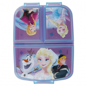 Frozen Multi Compartment Lunch Box