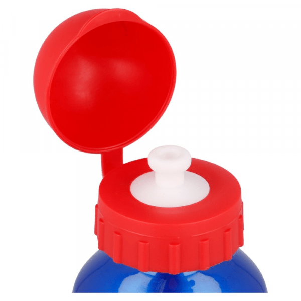 Mario Aluminium Bottle - Image 3