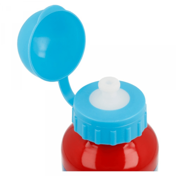 Paw Patrol Comic Aluminium Bottles - Image 3