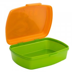 Dinosaur Lunch Box