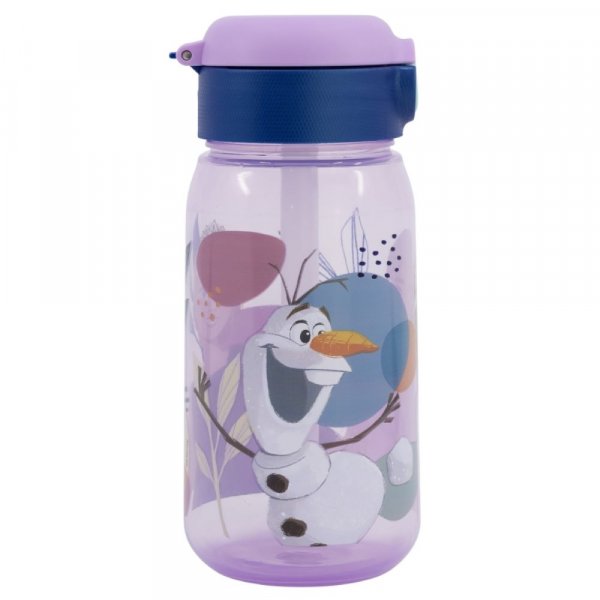 Frozen Active Canteen Bottle 510ml
