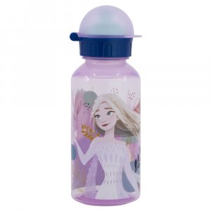 Frozen School Bottle ...