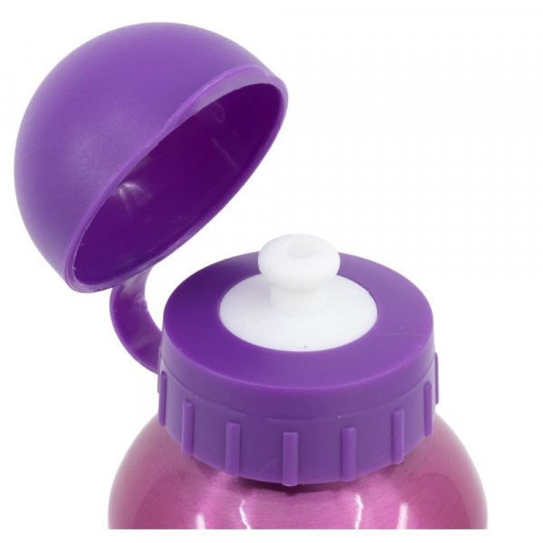 Princess Aluminium Bottle 530ml - Image 2