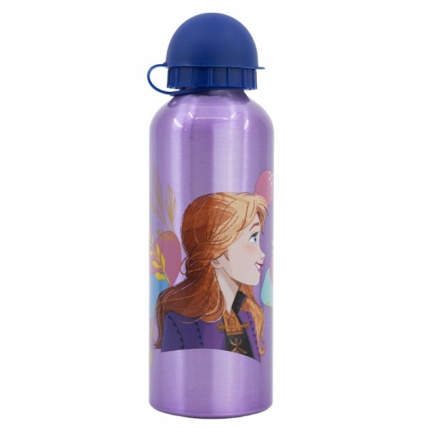 Frozen Aluminium Bottle 530ml - Image 3