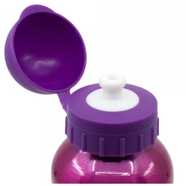 Paw Patrol Girl Aluminium Bottle 530ml - Image 3